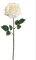 12-Pack: Open Rose Stem with Lifelike Silk Foliage, Floral Home by Artificial Flowers